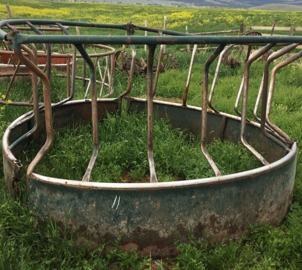 Kevin Hill AuctionIMG_5067 - Montana Auctions by Kevin Hill